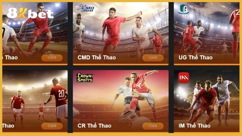 Cá cược thể thao tại 8kbet có gì đặc biệt
