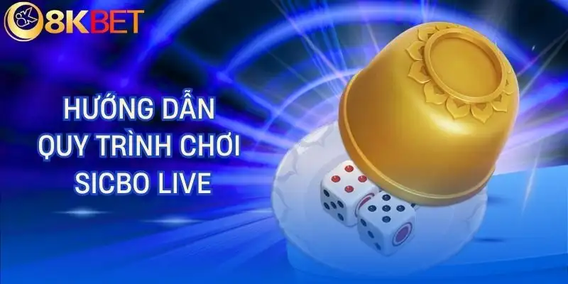 sicbo live 8kbet quy trinh tham gia sicbo live 8kbet quy trinh tham gia